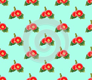 Red Hollyhock on Green Mint Background. Vector Illustration.
