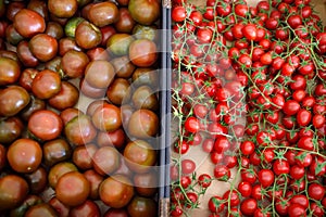 Red homegrown tomatoes and cherry on local farmer agricultural market or supermarket. Healthy vegetarian food. Storage, delivery