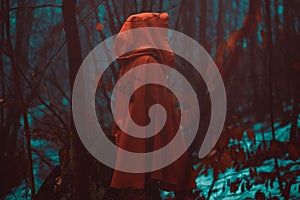 Red hooded figure in magical forest