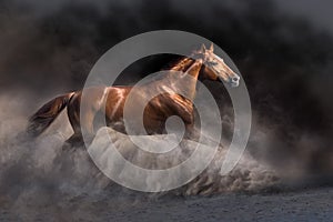 Red horse on dramatic background