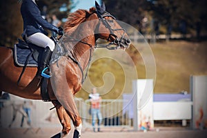 A red horse with a flowing mane quickly gallops through the arena