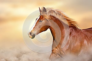 Red horse with long mane