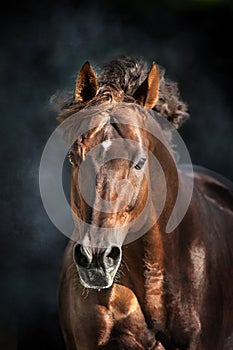 Red horse with long mane