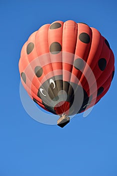 Red hot air balloon decorated as ladybird flying in clear blue sky, space for text. Traveling entertainment concept.