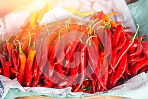 Red hot chili food ingredient of Thai food