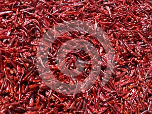 Red hot chili paprika background