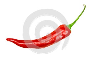 Red hot chili pepper