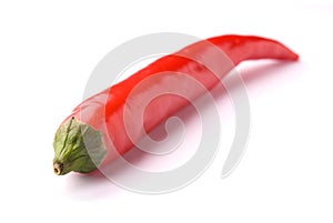 Red hot chili pepper