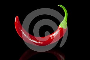 Red hot chili pepper