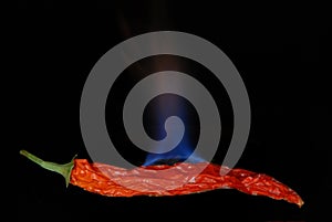 Red hot chili pepper 2