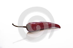 Red hot chili pepper