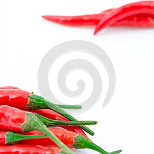 Red hot chili pepper