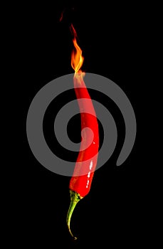 Red hot chili pepper on black background with flame