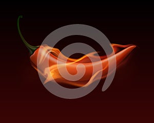 Red Hot Chili Pepper on Fire and Flame Isolated on White Background