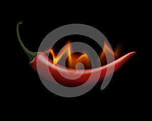 Red Hot Chili Pepper on Fire and Flame Isolated on White Background