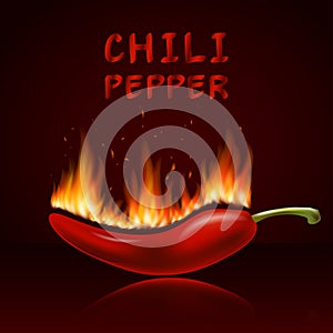 Red hot chili pepper in fire, fresh ingredient for tasty spicy food