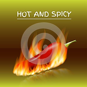 Red hot chili pepper in fire, fresh ingredient for tasty spicy food on dark green background