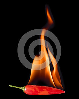 Red Hot Chili Pepper and Flame