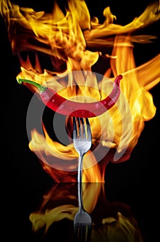 Red hot chili pepper on fork over black background. Red hot chili peppers on a silver vintage fork on a background of fire. High