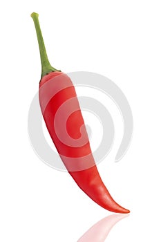 Red hot Chili pepper isolated on a white background