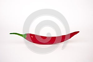 Red hot chili pepper