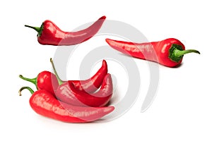 Red hot chili pepper isolated on a white background