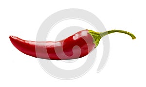 Red hot chili pepper isolated on a white background