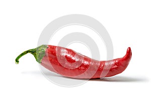 Red hot chili pepper isolated on white background. Spice for a delicious meal