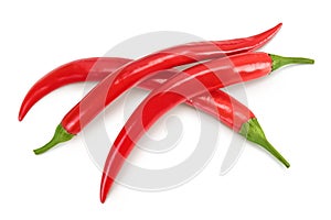 red hot chili pepper isolated on white background. Top view. Flat lay.