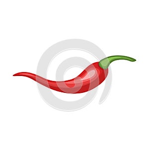 Red hot chili pepper pod image vector illustration