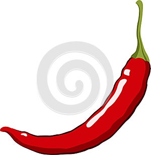 Red Hot Chili Pepper. Vector Illustration