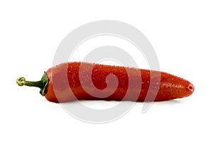 Red hot chili pepper with water drops isolated