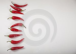 Red hot chili peppers are arranged in a row along the edge of a white background. Horizontally.