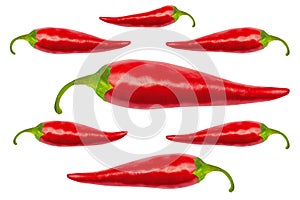 Red hot chili peppers with clipping path