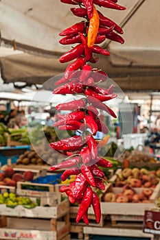 Red hot chili peppers hanging for sale at a day market in Rome