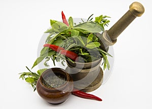 Red Hot Chili Peppers, herbs and spices with Mortar and Pestle