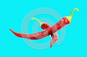 Red hot chili peppers isolated on turquoise background