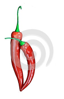 red hot chili peppers isolated on white background