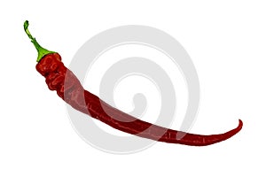 Red hot chili peppers isolated on white background. Image for project and design