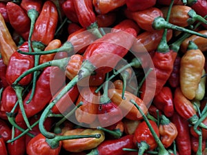 . Red hot chili peppers pattern texture background.