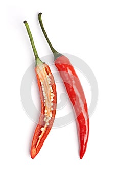 Red hot chilli pepper