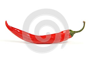 Red hot chilli pepper