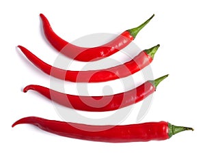 Red hot chilli pepper