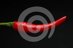 Red hot chilli pepper