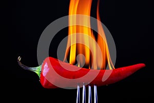 Red hot chilli pepper on fire