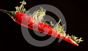 Red hot chilli pepper on fire on black background