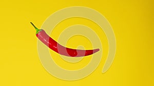 Red hot chilli pepper isolated rotating on a yellow background. Looped rotation. Fresh vibrant red chilli pepper