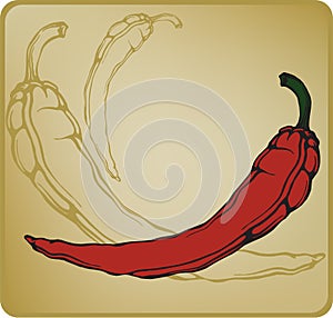 Red hot chilli pepper. Vector illustration.