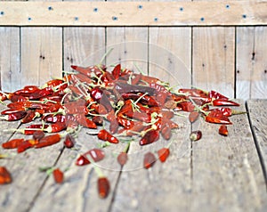 Red hot chilli peppers dried on a wooden background. We grow and dry ourselves. Organic products.