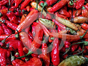 Red hot chilli peppers at the market ready for sale.